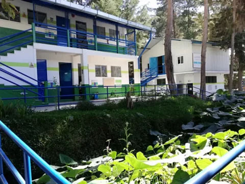 Fundación Novella